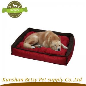 punane koer voodid liikuma