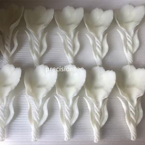 Prototüübi lahused