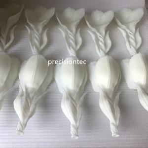 Prototüübi lahused