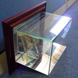 Cás Taispeána Peile le Feistiú Wall