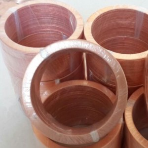 Gaiscéad Bíseach Caighdeánach Caighdeánach