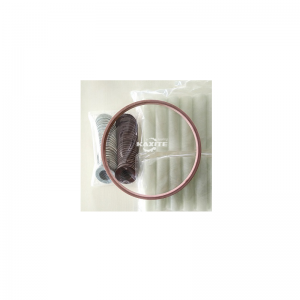 Ciseán Gaiscéid Inslithe Cineál D Flange