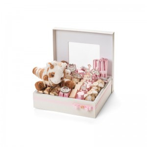 Bosca pacáistiú te macraon le dearadh bosca macaróin