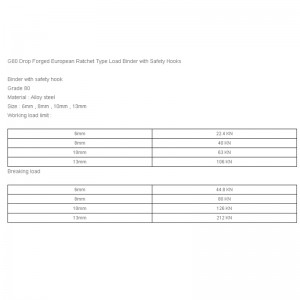 G80 Buail le Ceanglóir Lód Luchtaithe Cineál Ratchet na hEorpa le Safety Hooks