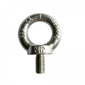 316 Scriú DIN580 Eye brionnaithe
