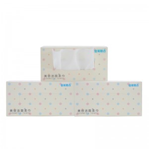 Wipe Glanadh Facial Indiúscartha