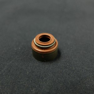 TSín mhonarcha Viton rubair Comhla gas róin rónta rubair do Cherokee