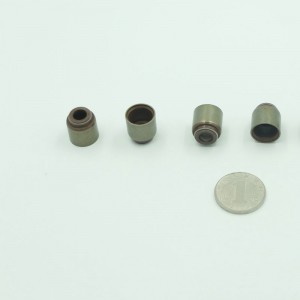 Ró-rónta ardchaighdeáin comhla rubair FKM do ghluaisteáin Changan