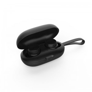 WS-07A-Earbuds Aistritheora le Bosca Muirir