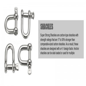 Bioráin scriú cruach dhosmálta D geckle le bioráin doirteal heicsidheachúlach