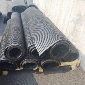 Scuad binne / seid capaill