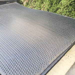 Ní dlúthbholgáin iad na bolganna