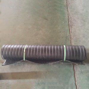 Ní dlúthbholgáin iad na bolganna