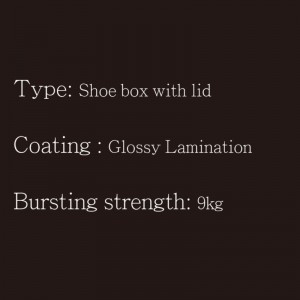 Bosca bróg le clúdach lid2