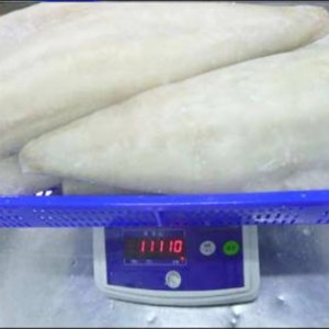 Filléid saillte Atlantaigh éadrom reoite saillte