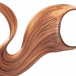 Síneadh Sreang-Crown 06