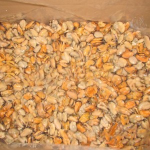 Feoil diúilicíní bruite reoite