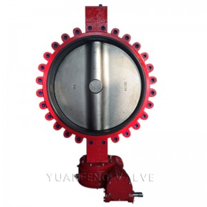 Comhla Féileacán Lug Type