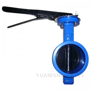 Comhla Féileacán Críochnaithe