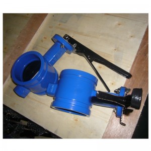 Comhla Féileacán Críochnaithe