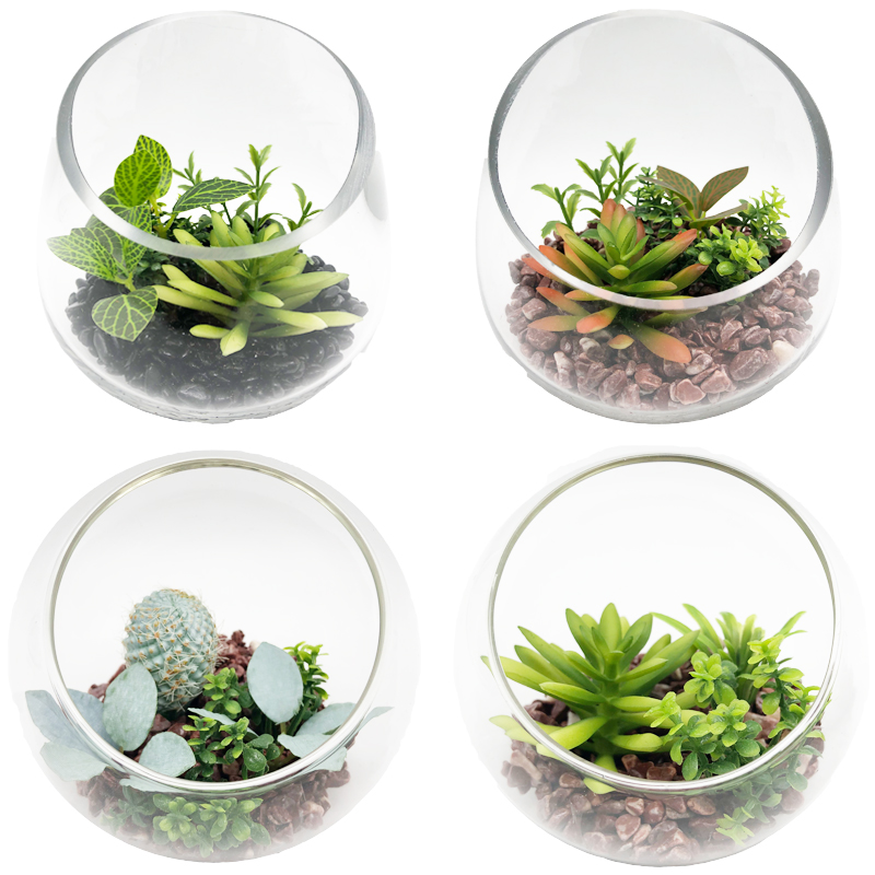 Plandaí Succulent Saorga Le Vása Gloine Gloine Tabletop Gloine Tábla