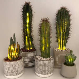 Cactus Saorga faoi stiúir I Faux Pota Gloine Maisiúla Maisiú Succulent