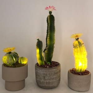 Cactus Saorga faoi stiúir I Faux Pota Gloine Maisiúla Maisiú Succulent