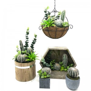 Plandaí Succulent Saorga Nua-Aimseartha Le Vása Taispeáin Globe Potaí Tabletop Pota