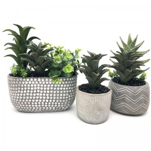 Aló saorga réadúil aló Vera Plant Oifig trópaiceach maisiúchán baile gairdín