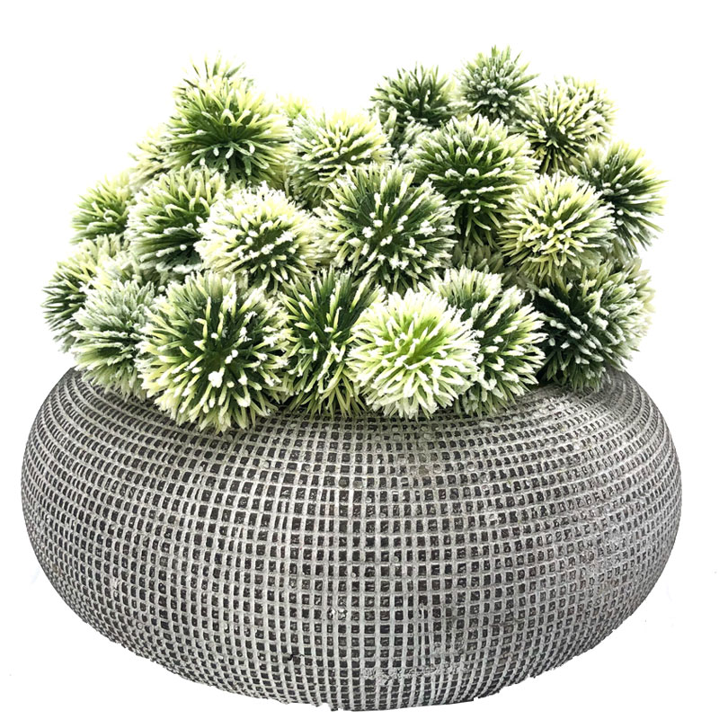 Ball Cactus Saorga I Maisiúchán Succulent Pota Maisiúla Do Home or Office