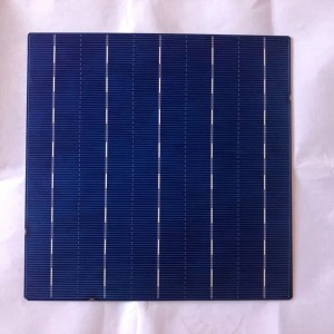 Poly Polystystineine