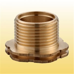 Cuir isteach le haghaidh PPR Connector