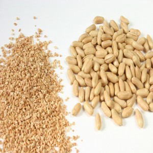 Chopper Peanut / Peanut Dry De Chopper