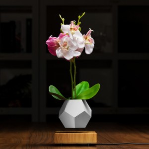 aer pota plandaí leamhnú potai PA-0708