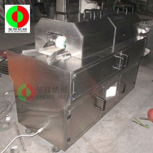 Meaisín Feannadh Aloe Cactus