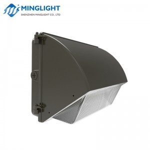 LED Wall Pack Solas WPB2 80W