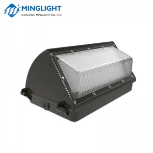 LED Wall Pack Solas WPB2 42W