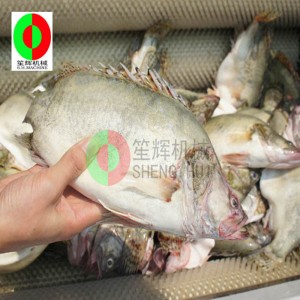 Meaisín torthaí a ghlanadh meaisín / glanadh torthaí melon feannadh meaisín / scuab torthaí melon glanadh feannadh meaisín QX-612 nua