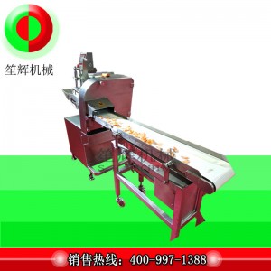 Slicer feola úr QP-160