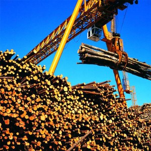 Craein Gantry le Grab