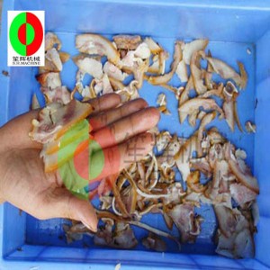 Slicer feola uathoibríoch / slicer feola ilfheidhmeach / slicer feola deisce meánmhéide QH-500