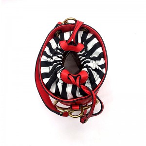 Lady Faisean dearthóir buicéad uiscedhíonach Mála ghualainn 2019 mála mná is coitianta