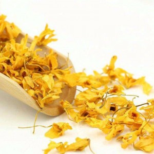 Bláthanna Caulis dendrobii