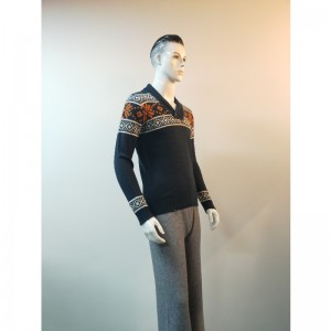 RLMS0058F AISTEACHTA A CHUR AR AIS