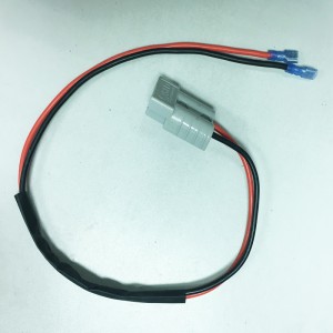 AUT CABLE 02