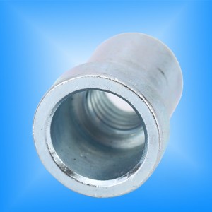 Lifti lamepea sarvepähklid