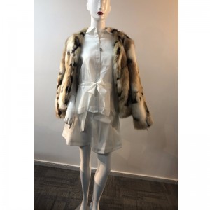 AN CÚRAM COTHAITHE COLÁARTHA DE CHUIDEACHTAÍ RLWF0017