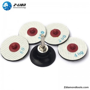 ZL-123ER 2 Pads Snasaithe Leictreaphlátála Inse Roloc Glass