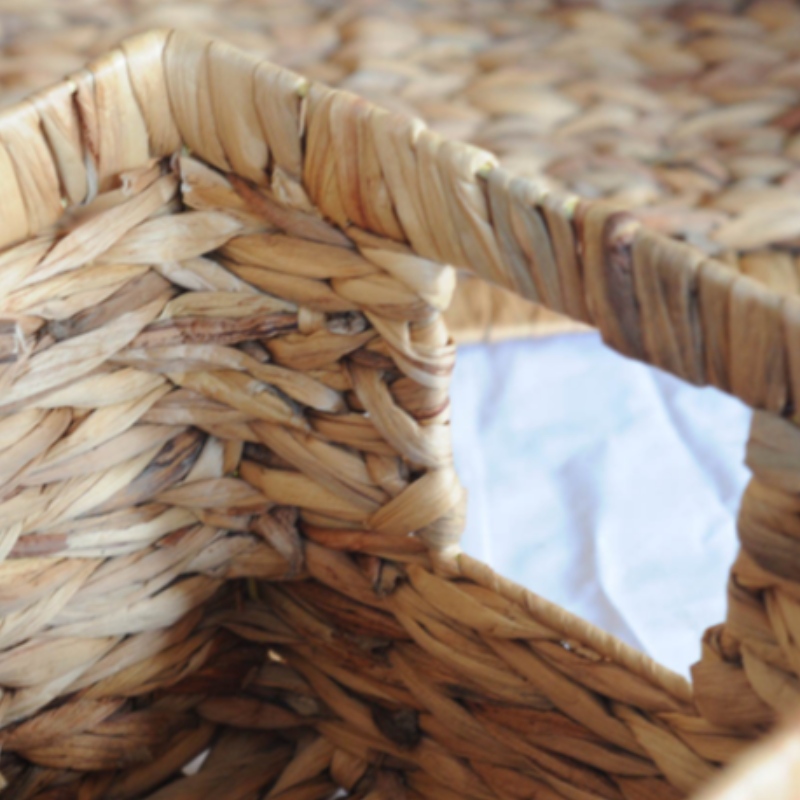 Ciseán Hyacinth Uisce