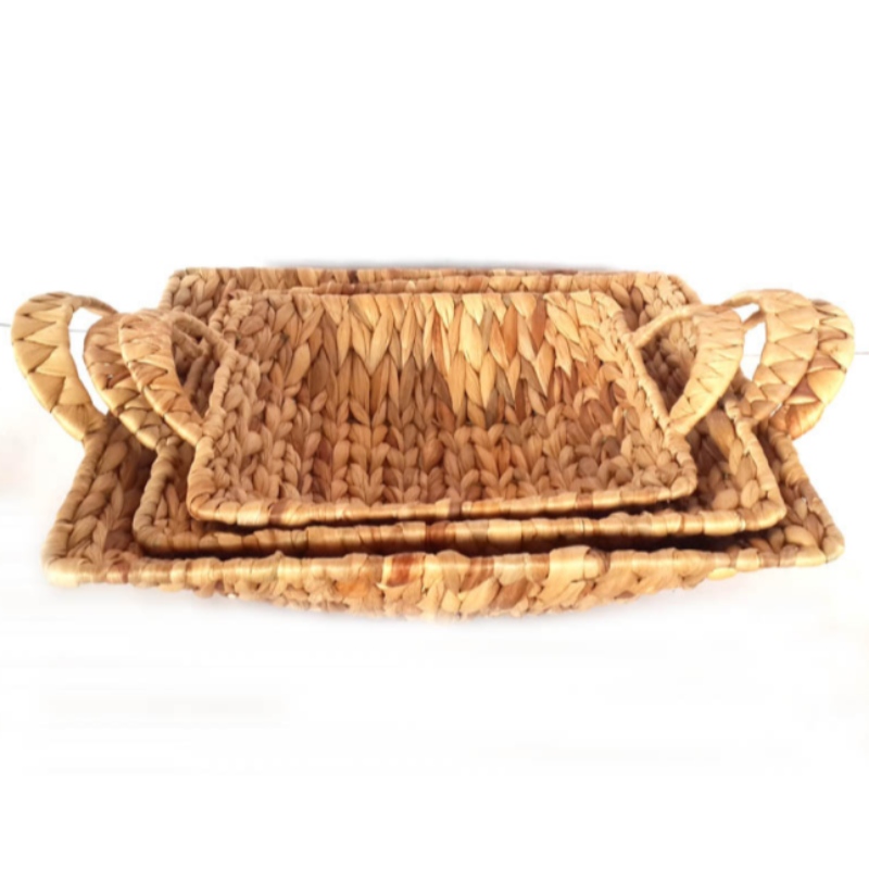 Ciseán Hyacinth Uisce le Láimhseálann